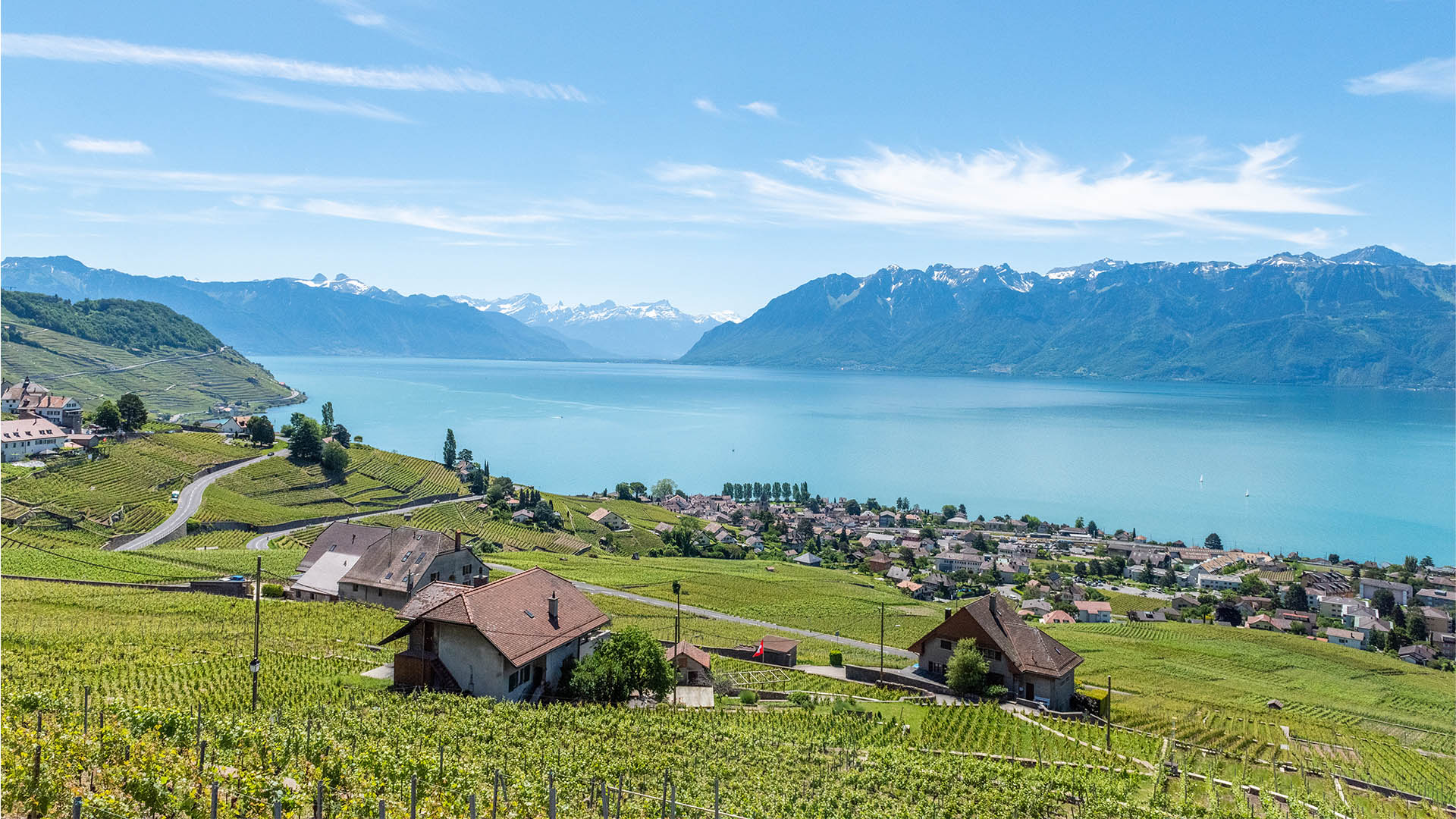 Vignobles de Lavaux avec lac Léman, montagnes enneigées et villages suisses pittoresques