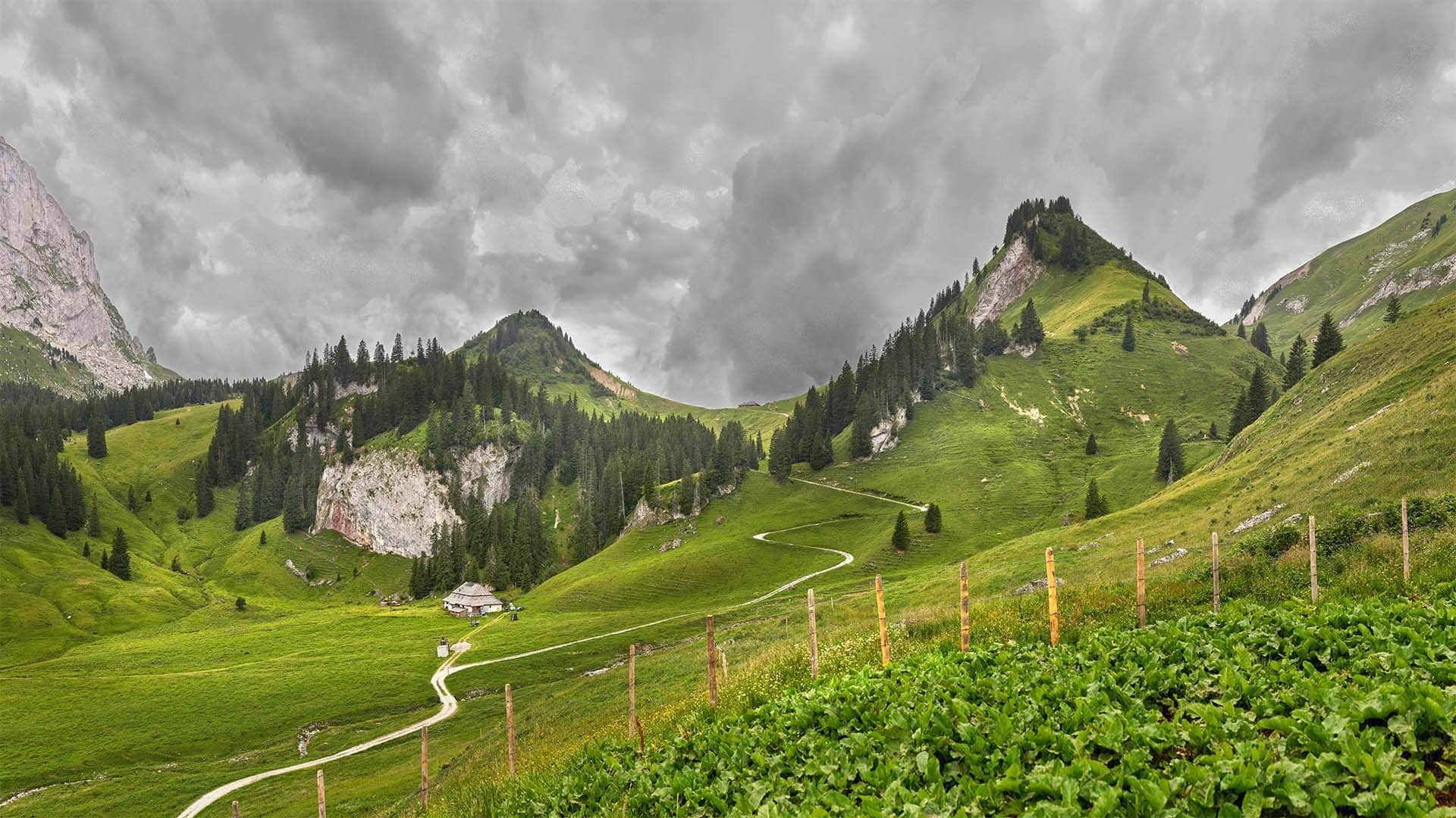 Paysage alpin suisse avec vallée verte, montagnes et chalet traditionnel sous ciel nuageux